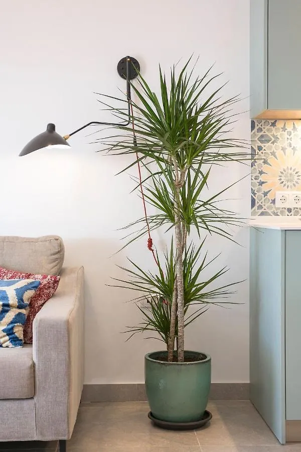 Sol De Sanlucar Atico Centro Parking Incluido Apartment Sanlucar de Barrameda Spain